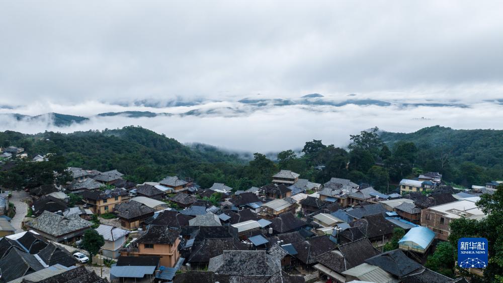 勾勾鱼提现